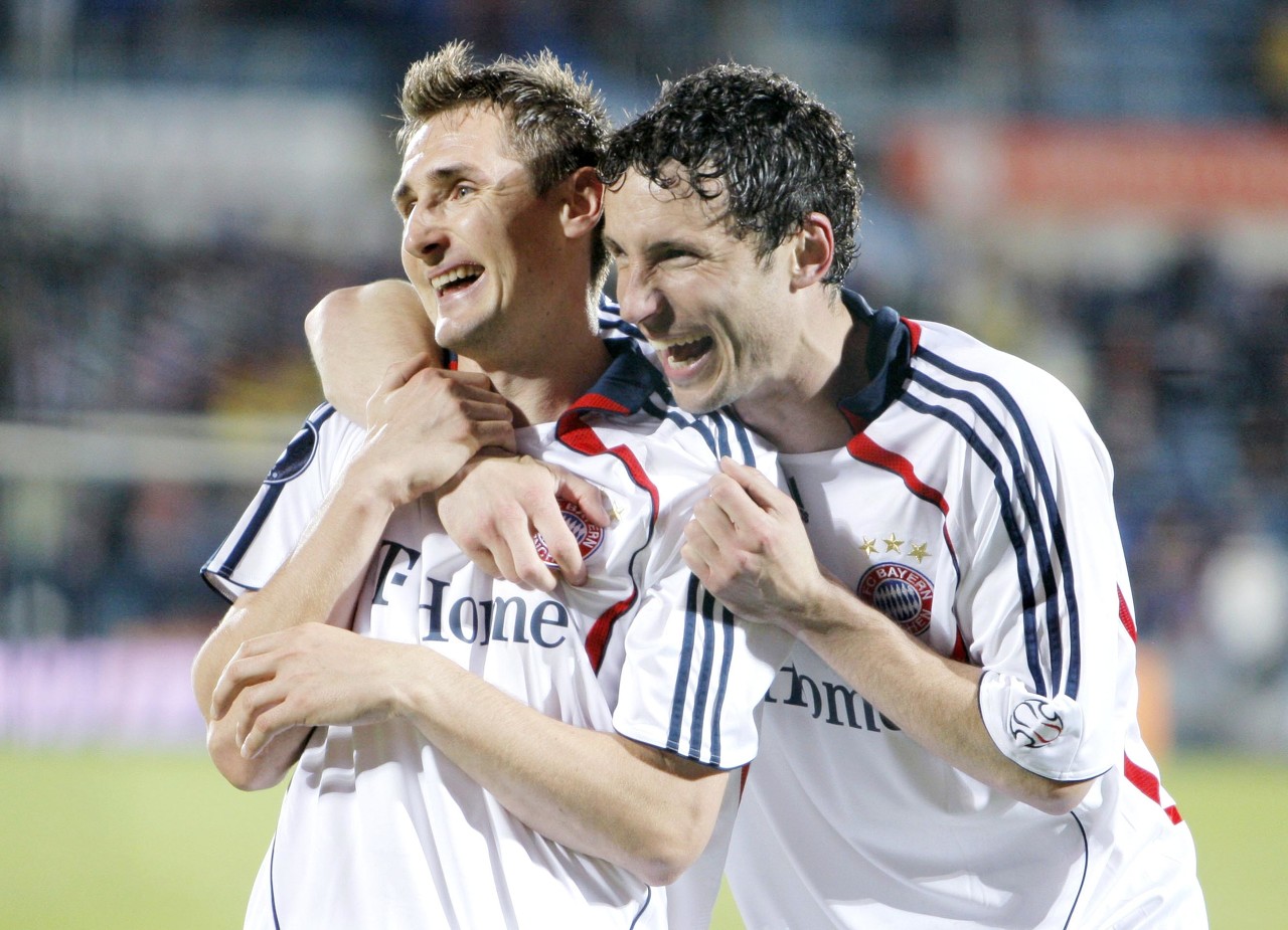 明星球员的 明星球员的